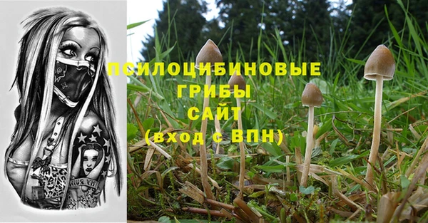 ECSTASY Абинск