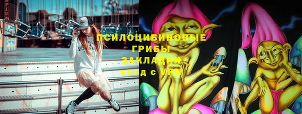ешки Абаза